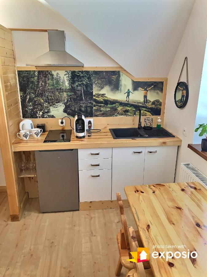 Ski Tour Apartments Zakopane Dış mekan fotoğraf